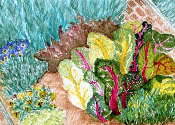 "Kitchen Garden" by Anne Irish, Middleton WI - Watercolor